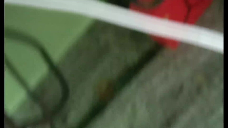 Sexy sindu: India mallu tía Masala sexo hardcore