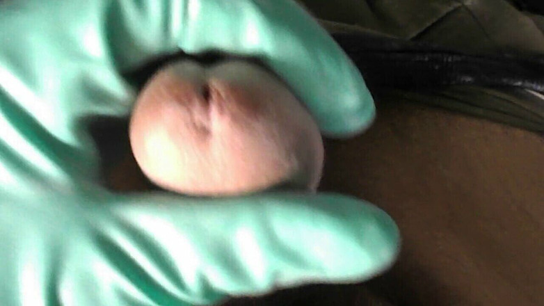 1000punti: 乳胶手套