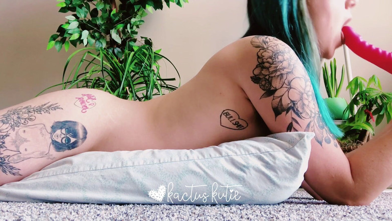 kactus kutie: Ôm gối của tôi + máy rung