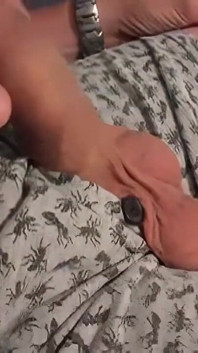 Alex gets Bred