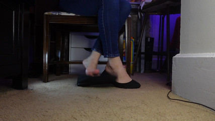 Raven Willow: Hravě honění mých bytech