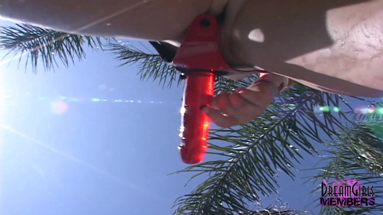 Dream Girls: All girl spring break fuck party
