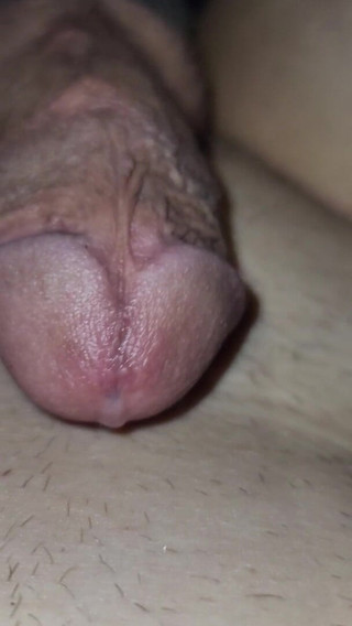 BigDickBoss: De aproape joc de prostată și ejaculare