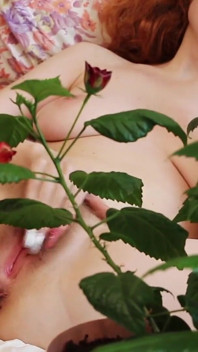 Flowers and Pussy