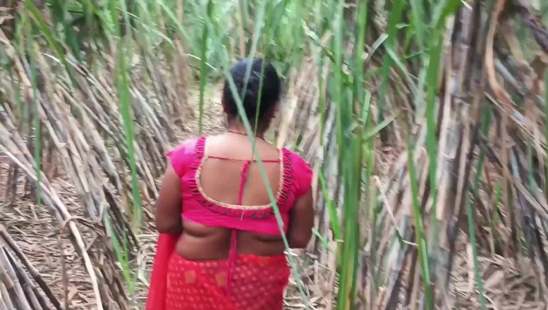 Desistepsis: Video samastar ibu tiriku dan aku di ladang tebu samastar