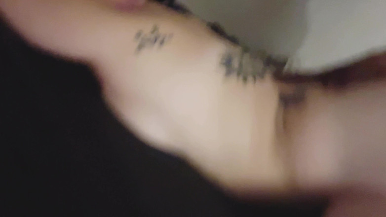 Thekookiejar: Hřebec Kočka zkouší poprvé péro a ochutná svého nejlepšího přítele