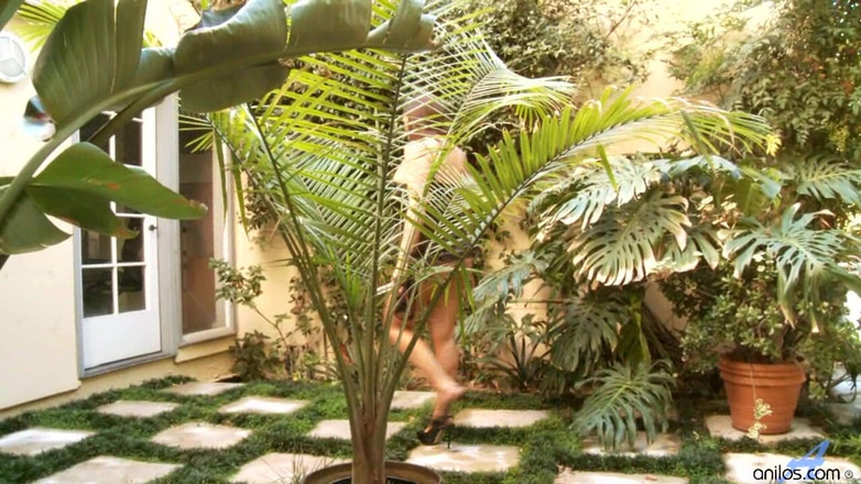 Anilos: Skleněná hračka