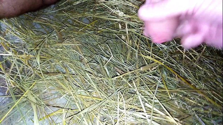 Master Drex: Český BDSM tábor