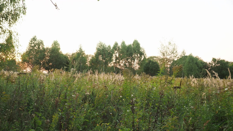 thelazycouple: Amateur réel, sodomie en plein air - creampie anal dans la...