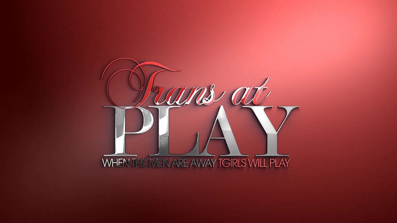 Trans 500: Vše o Paní Meirelles