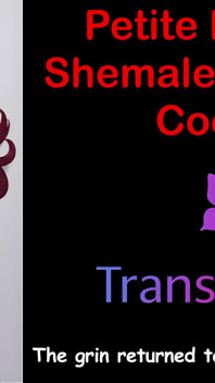 Audio storia di sesso - la piccola trans rossa con un cazzo grasso - 1