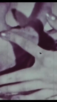 Vintage porno retro erotisch theater - vleeseter 4