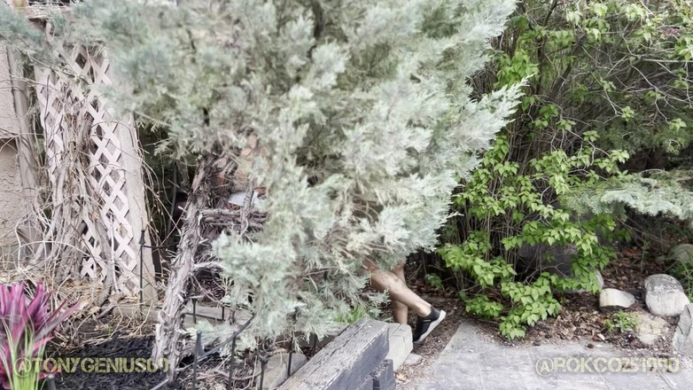 Tony Genius: Món quà làm ấm nhà của Tony