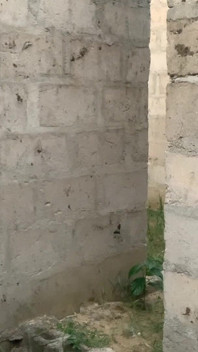 Huge Cock Destroyed Slime Waist Bussy as I Bend Him to the Wall and Dogg His Bussy in an Uncompleted Building