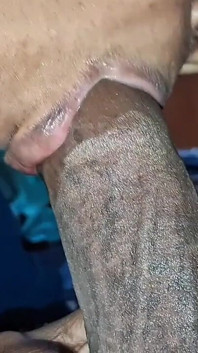 Cunhada chupa close-up
