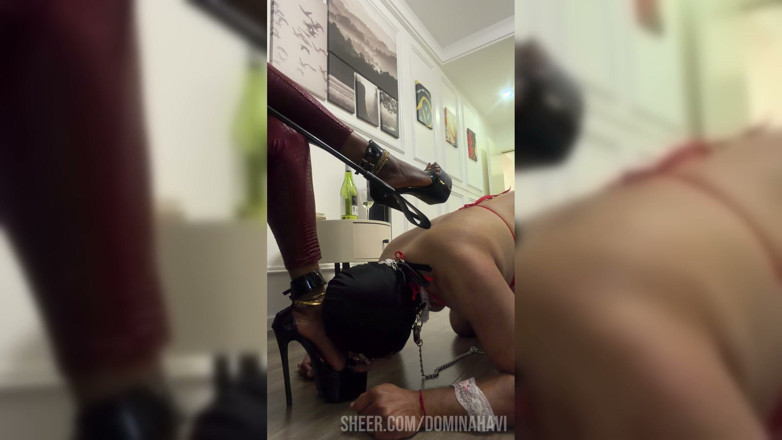 Domina Havi: A Very Intimate and Intense Femdom Foot Worship