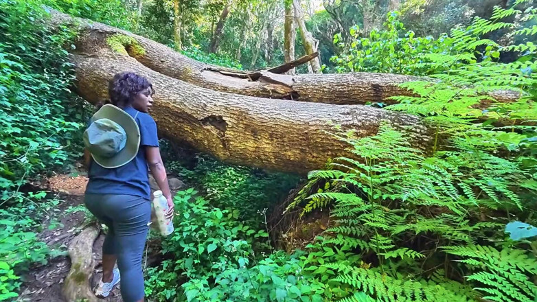 Black Swan: Milf recebe sua buceta comida e fodida no rio