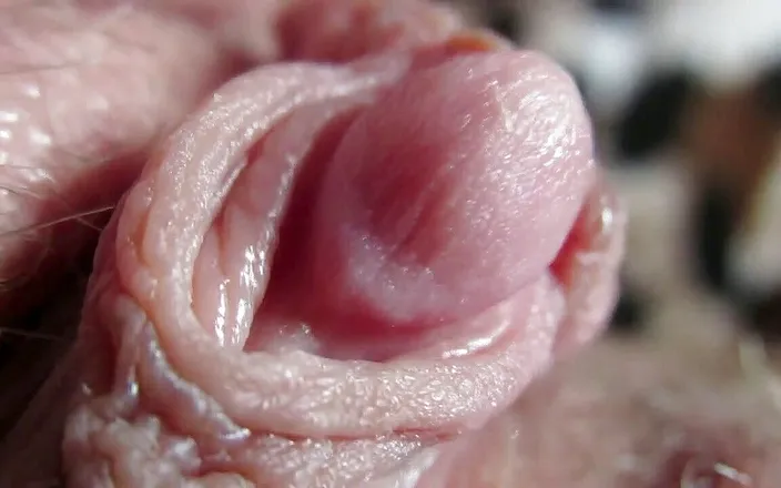 Cuteblonde666: Big clit compilation 2