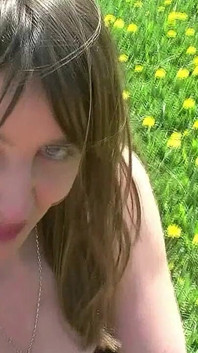 A Summer Day in the Park
