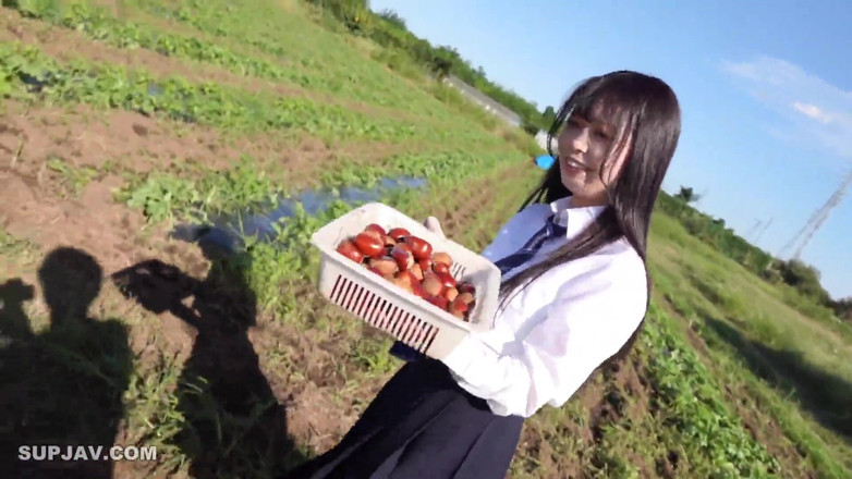 Studio Modern Shunga - JAV: 아시아 천사 - 16196