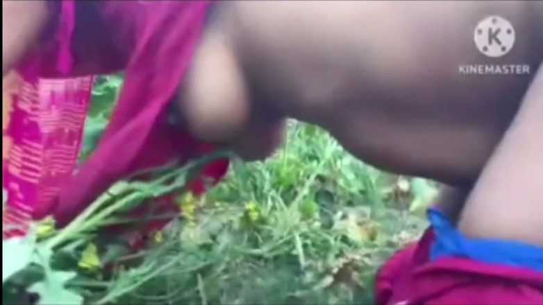 Savita5343: Villaggio Bhabhi Scopata Nel Campo Di Senape a Pecorina Dal...
