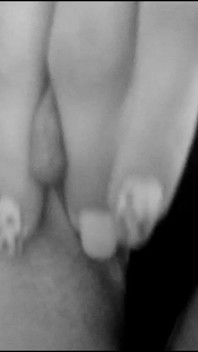 I'm Cumming for You