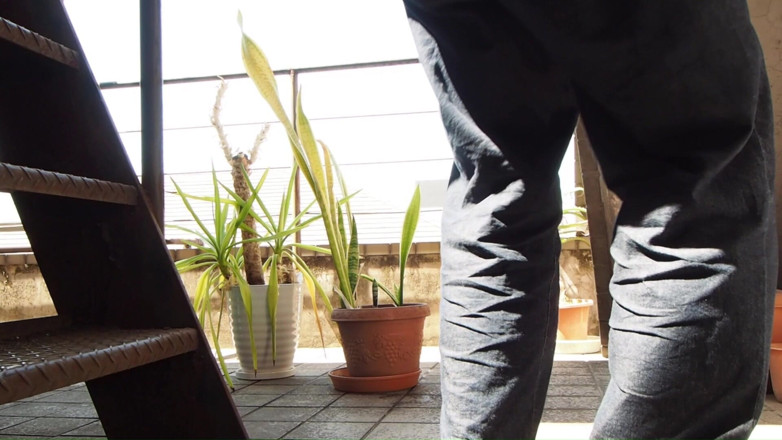 Mayumi Kanzaki: Uriner Dans Une Plante En Pot