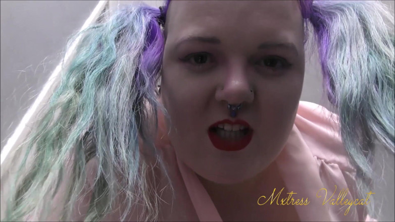 Mxtress Valleycat: Mx Valleycat bullies the new student for being straight