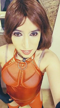 Animado 3