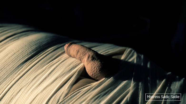 Sadic Sadie: Gra medyczna z mumifikacją, igłami, CBT i elektrodynamiką.