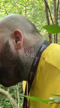 Ліс збоченців 5