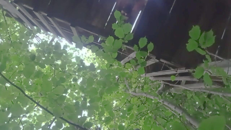 DiiVampy: Outdoor Masturbation