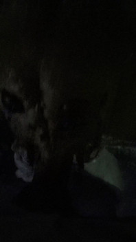 Horror porn 17: ragno femmina