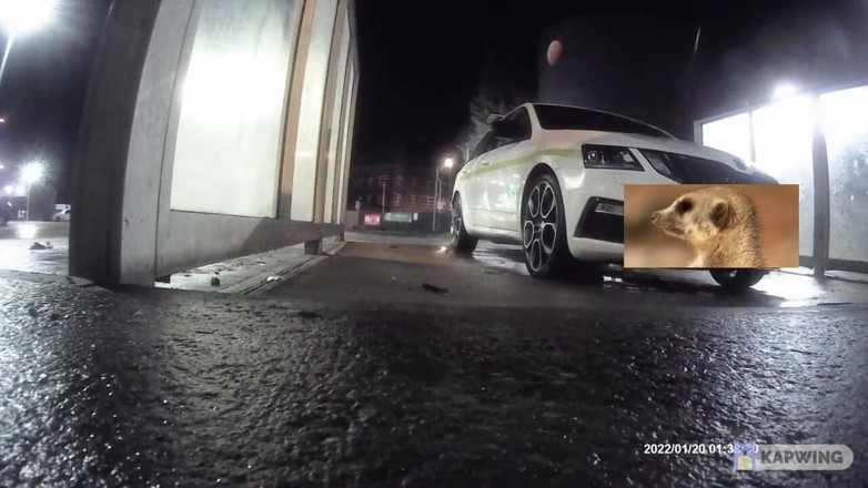 Lingeriemanx69: Lavage de voiture en bas 1