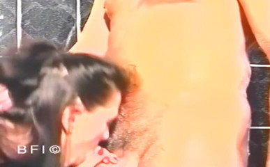 Hardcore Lovers: Threesome in the bathroom.