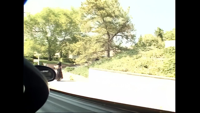 Bizzarre World: 小狐狸测试