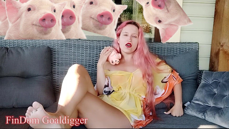 FinDom Goaldigger: Revisão do formulário de solicitação de escravo em dinheiro
