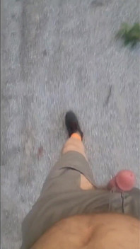 Went for a Walk at the Truck Stop