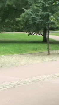Five Skaters Hook up at the Edge of the City Park