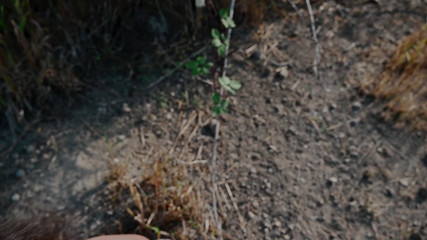 Deerfern: Wren dapat deepthroat kasar, pukulan dan pai tekak di luar...