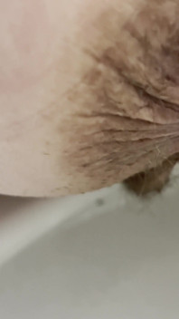 Plassen in het toilet en douche