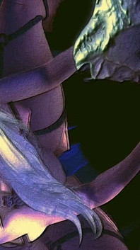 Забавные видео 76