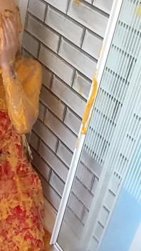 Nacho Pvc șorț wam cu dus si curat