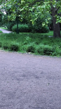 Wild Hardcore: Blonde Rides Cock to Intense Orgasm