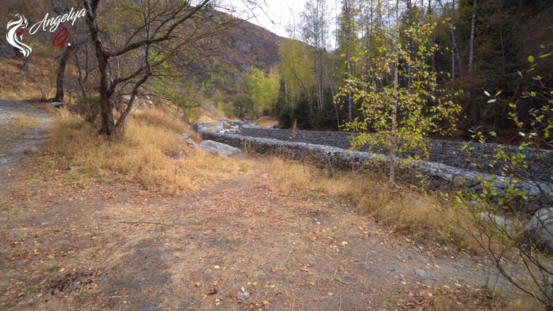 AnGelya G: Stor avsugning i naturen - POV
