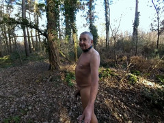 Andy: Четыре прогулки 2025