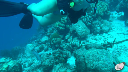 Mistress Pink Pearl: Alleinzeit in Bonaire