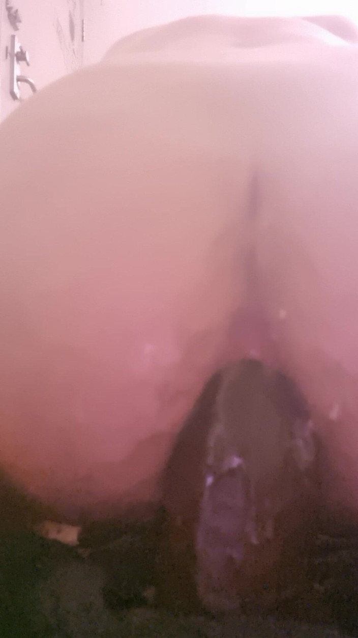 Gecko Lexi: 13-calowy dildo BBC