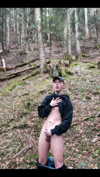 In the Forest