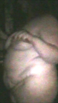 Naked in the Darkroom